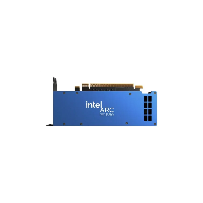 INTEL Arc Pro B50 GPU Vaizdo Plokštė | Black